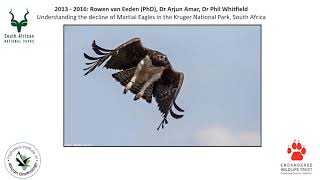 Wild Chat: Together Apart - Eagles on the line: Understanding and conserving Africa’s largest eagle