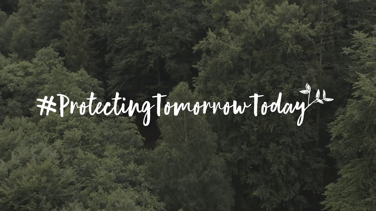 PET-Recycling für ein besseres Morgen ► VILSA