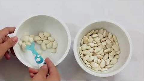 INDOOR ACTIVITY | TRANSFER | FINE MOTOR SKILLS | CONCENTRATION | UFFAQ KHAN | EDUCATIONAL VIDEOS |