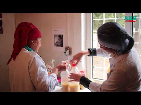 Волонтеры из Японии о своей жизни в Кыргызстане