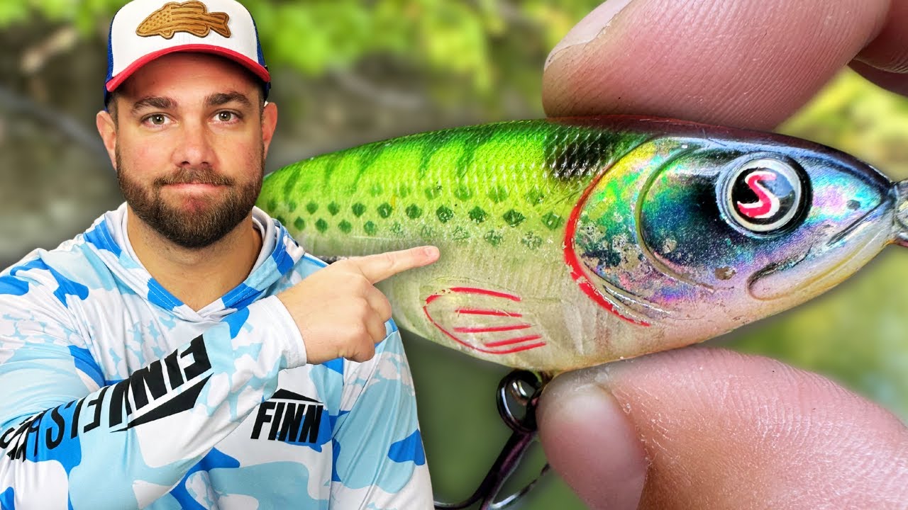 It's TIME To Pick Up Your TOPWATERS (Fall Fishing)