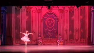 World Ballet: Nutcracker 2014
