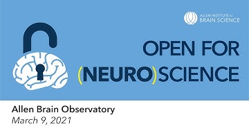 Open for (neuro)science tutorials: Allen Brain Observatory