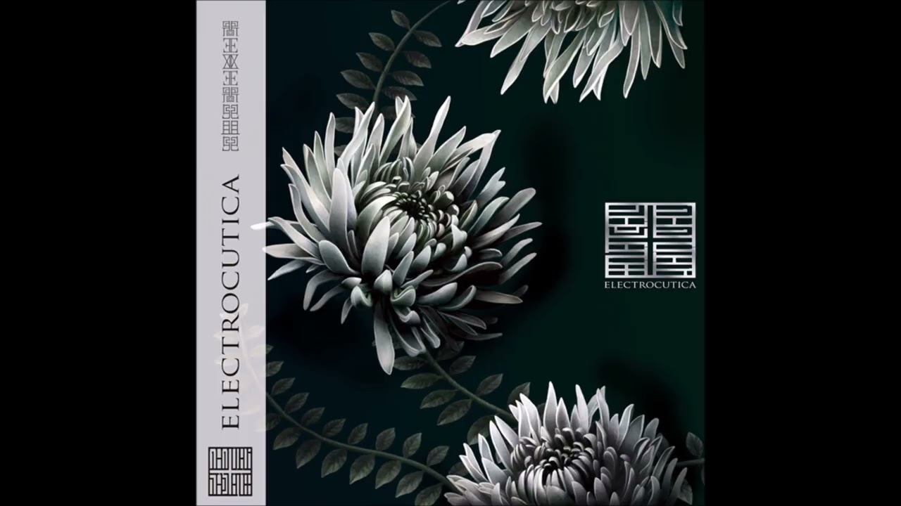 Electrocutica - Reversus - YouTube Electrocutica - Reversus - YouTube