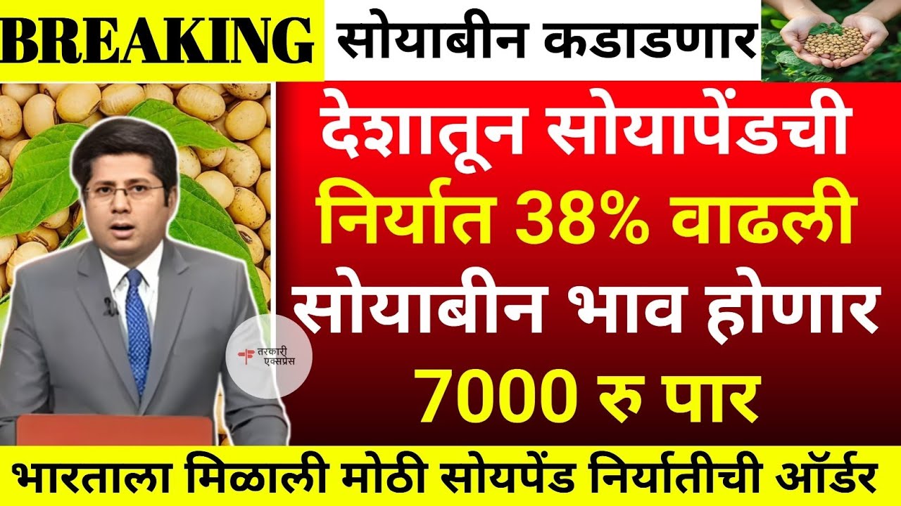 सोयापेंड निर्यात 38% वाढली दर 7000 रु होणार| soyabean bajar bhav today|soyabean bhav today