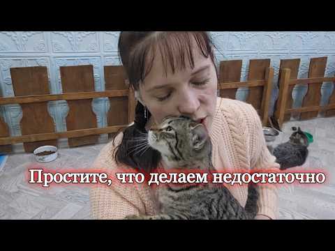 Плюнут и пнут многие   поймут единицы