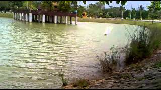 my rc boat GENESIS 1st run 180 turn.mp4