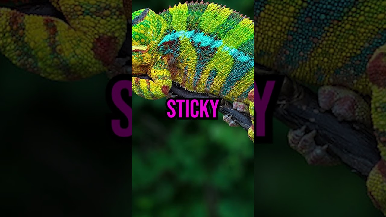 Do YOU also have STICKY and LONG body parts?