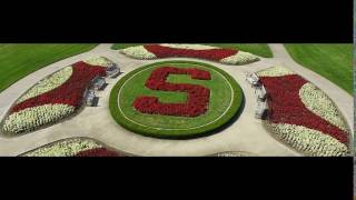 Sanford University