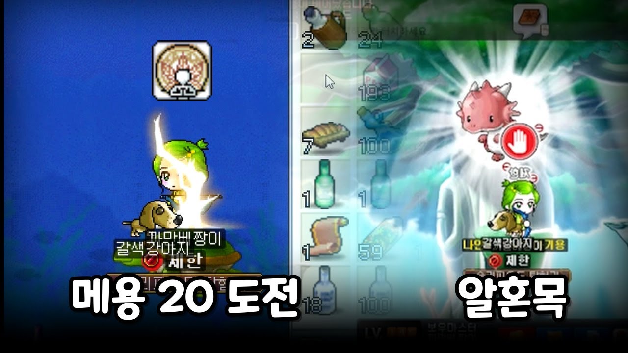 메용 20도전과 알혼목 먹자 [메이플랜드 무자본 궁수 육성기#26]