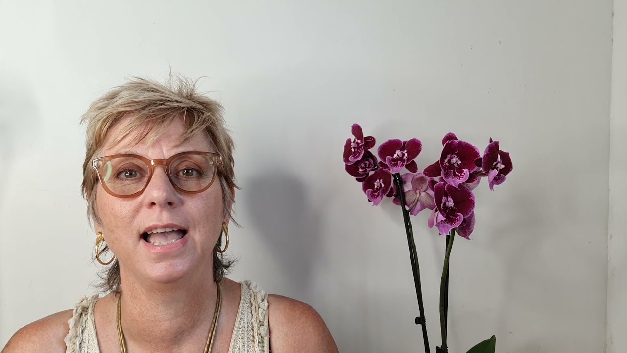 Foundation Course in Shamanic energy healing