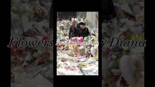 Download Lagu Karangan Bunga untuk Mendiang Ratu dan Putri Diana #royal #royalfamily #princessdiana #queen MP3