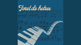 Download Lagu Forêt de Hêtres Download Lagu Forêt de Hêtres