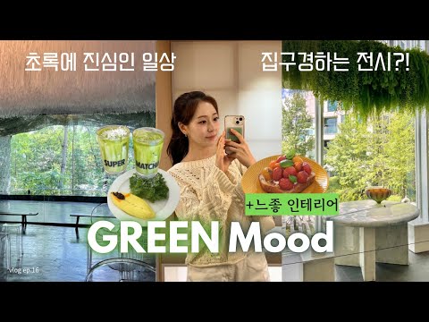 성수/하남/서촌 Green vlog🍀 *:･ﾟ인테리어 전시, 갤러리 미사장, 말차💚초록에 진심인 여름 Lover의 일상 ❥*: