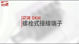 町洋Dinkle ─ 綠能高電壓專用 1500V展現強勁效能！