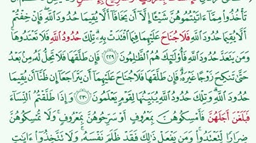 سورة البقرة من 229-231