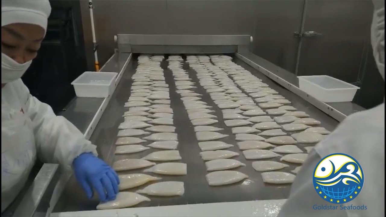 Squid Tube Sotong Tube Cumi Tube in Good Quality|Goldstar Seafoods