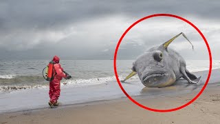 10 Most Bizarre Sea Creatures Washed Up After Tsunamis