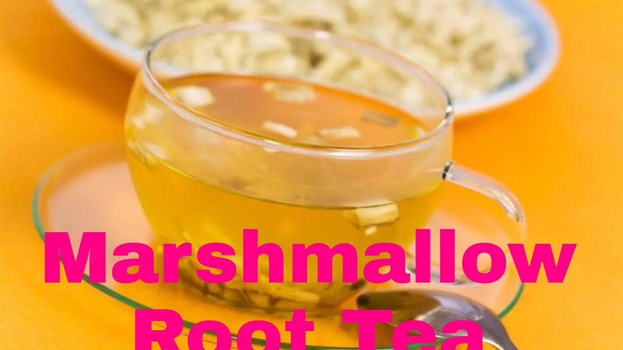 Marshmallow Root Tea. benefits YouTube