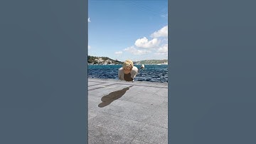 Good Afternoon #3d #animation #tyflow #3dsmax #aftereffects #digitalart #vfx #visualart #istanbul