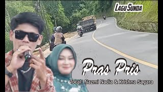 Pras Pris lagu viral sambil menemani perjalanan
