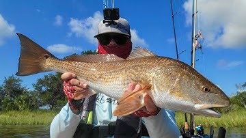 How To Catch Schooling Redfish Using Salt Strong Fishing Lessons