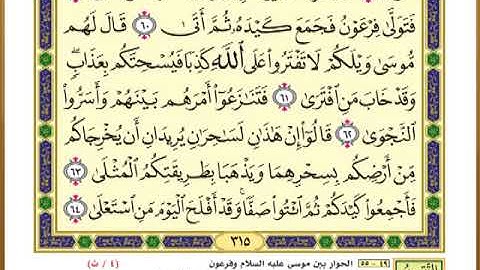 الصفحة ( 315) من القرآن الكريم سورة طه _ مصحف التقسيم الموضوعي _