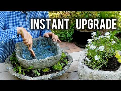 New Plants + Planting Day 🌿 Instant Garden Upgrade!