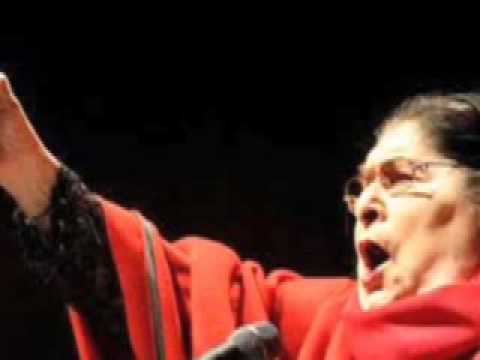 Mercedes Sosa, Cancion por el Fusil y la Flor