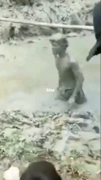 keisya levronka - tak ingin usai (lirik) #music #musik #lyrics #liriklagu #funny #funnyvideo