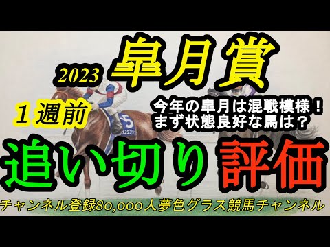 【1週前追い切り評価】2023皐月賞！今年は大混戦模様の1戦！1週前の段階で状態が良さそうなのは？