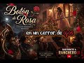 Botón de Rosa 🌹| Canción Romántica @RancheroIA 