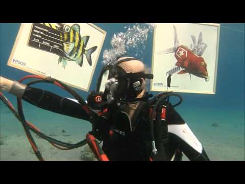 Underwater Art Exhibition - Epson Red Sea Live Bro...