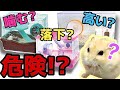 ハムスターの飼育ゲージはどれがいい？市販のオススメ紹介!!掃除のしやすさ、噛む？値段は？ルーミィ