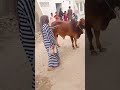 Eid e Qurba'n #viralvideo