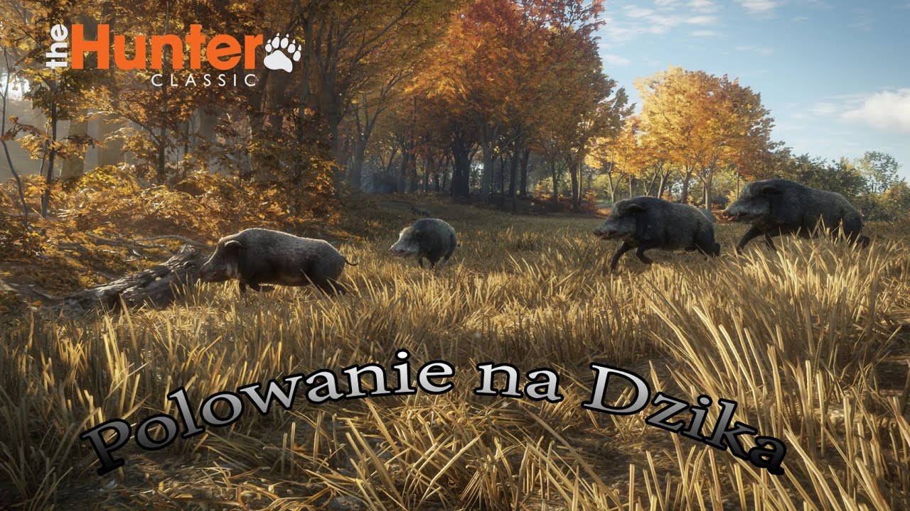 The Hunter Classic Polowanie na Dzika YouTube