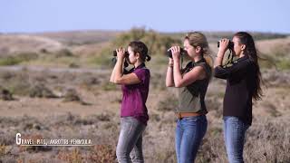 Birdwatching In Cyprus, Spring