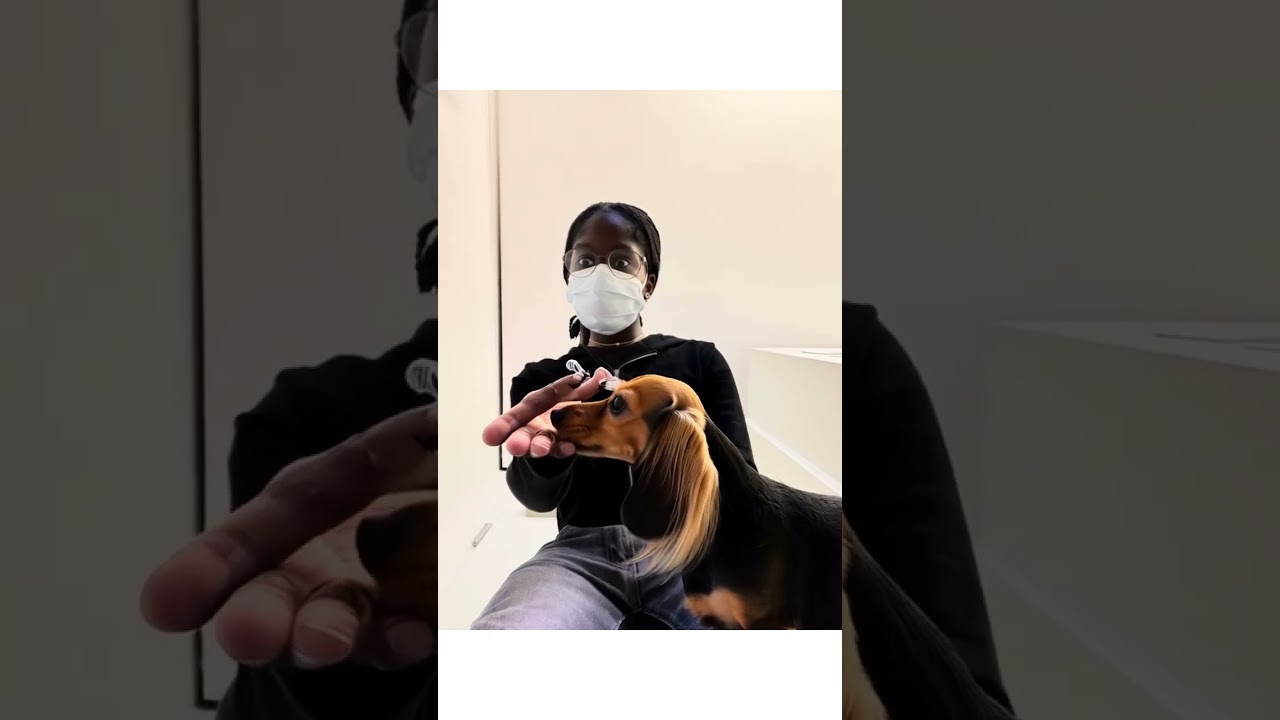 Was passiert, wenn du deine Mitarbeiter in der KFO-Praxis alleine lässt… 😂🦷