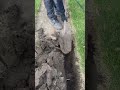 the process of digging the ground using a shovel #construction #ground #shovel #popular #shorts
