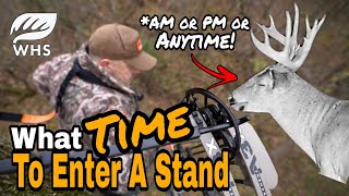 Best Time To Enter A Treestand