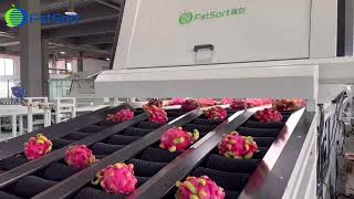 Celebrity Dragon fruit optical sorting grading line Kylin fruit visual grader pitaya vison weight sorter Profile