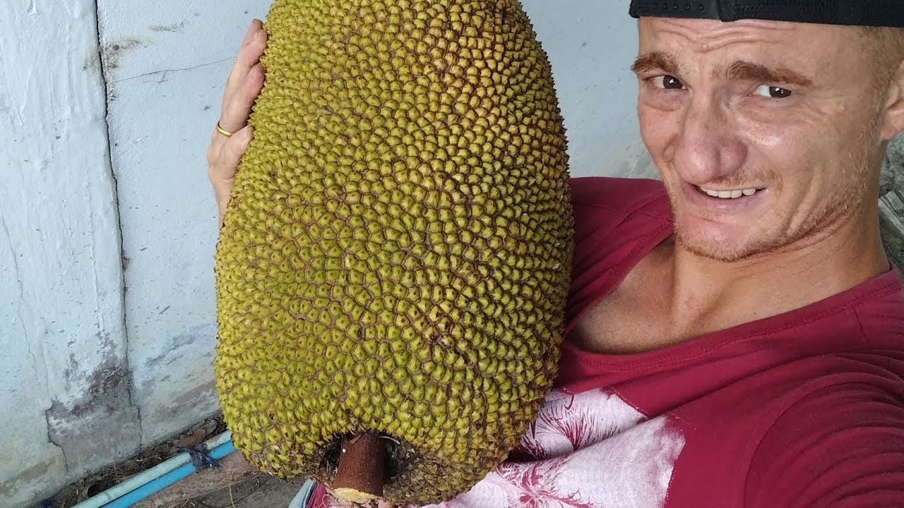 Jack fruit the answer for the problem YouTube