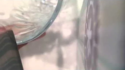Cherry Tomato Bevel Test