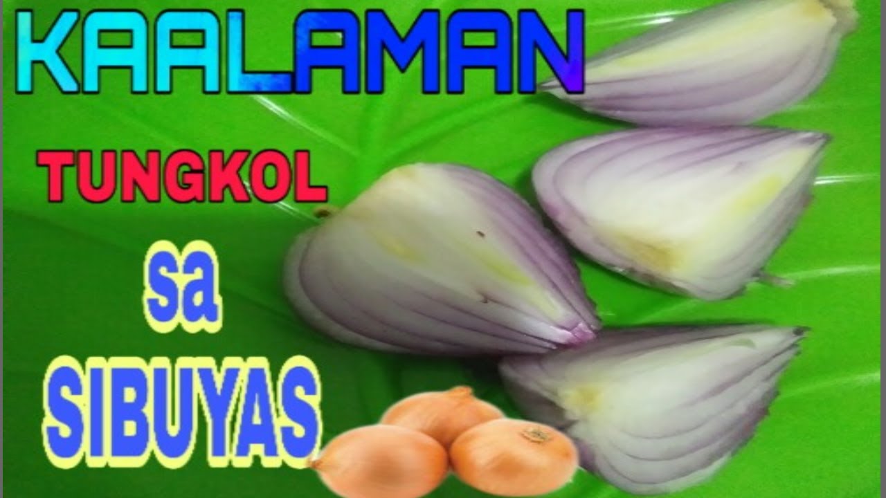 Health Benefits of Onions(TAGALOG VERSIONS) YouTube