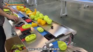SZ 1000 down paper servo control flow pack machine Soontrue