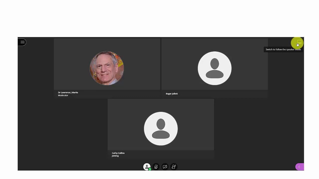 Blackboard Collaborate Ultra Student Guide YouTube