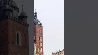 Unexpected Global Brand Twist #relaxation #nature #naturetranquility #soundscape #scienceandtech