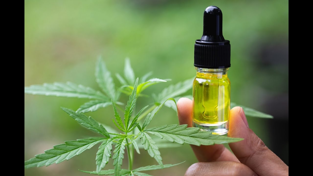 What Is CBD OIL - YouTube