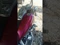 1991 Harley Davidson Fat Boy cold start.