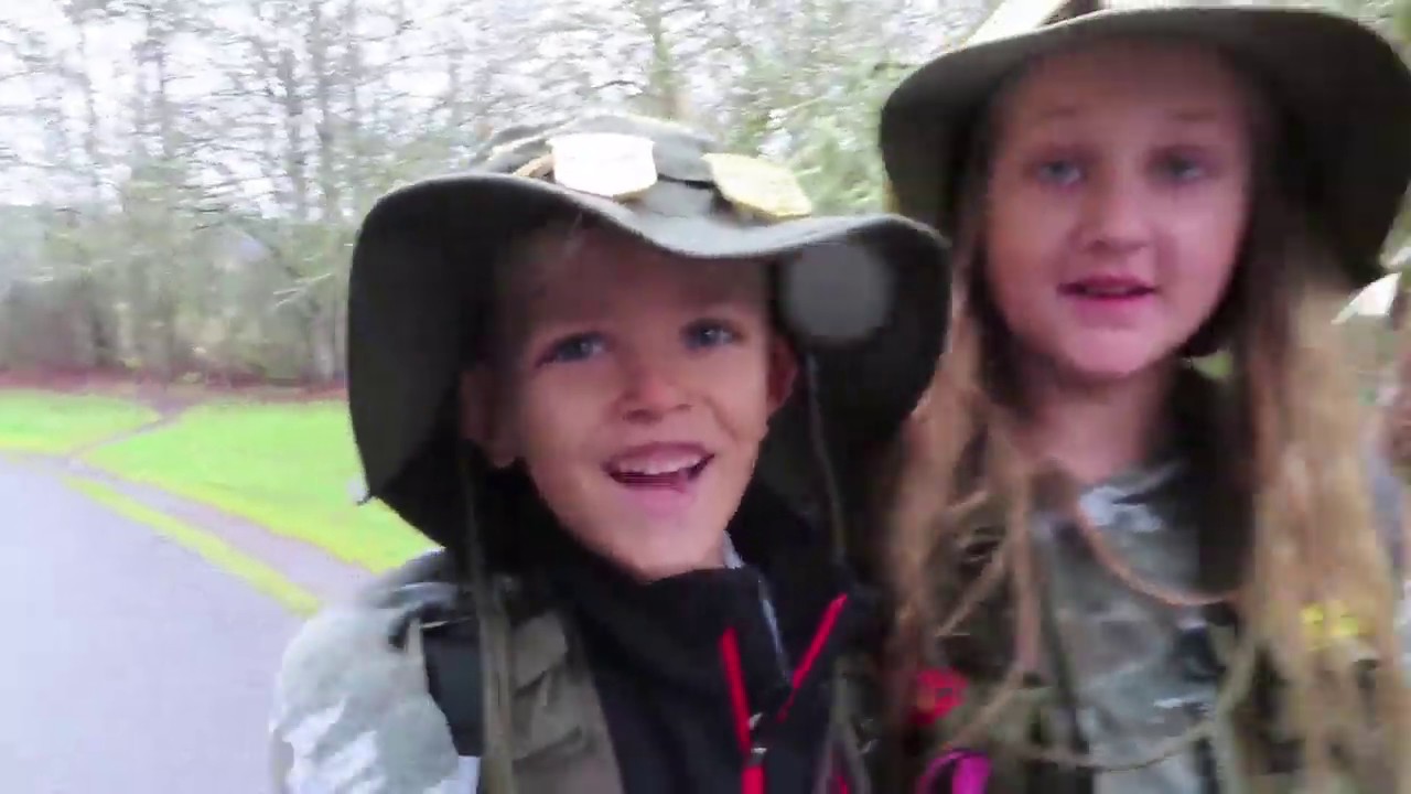 Bug Hunting in Trees